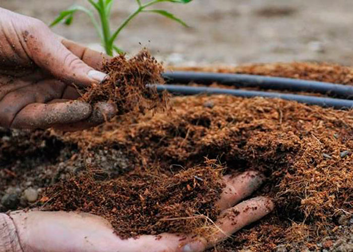 Питательные смеси для почвы