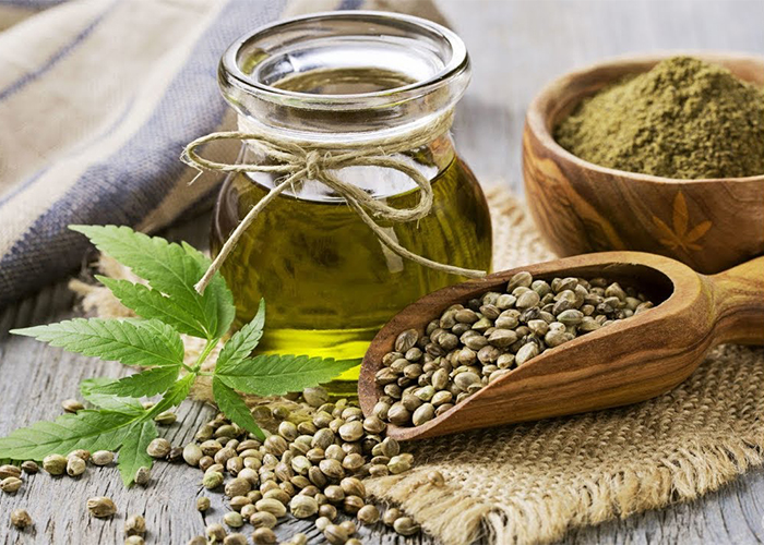 Разнообразие сфер использования конопляных семян