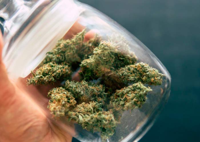 Сыроедение или пролечка?