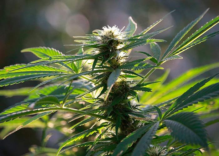 Секрет в сочетании