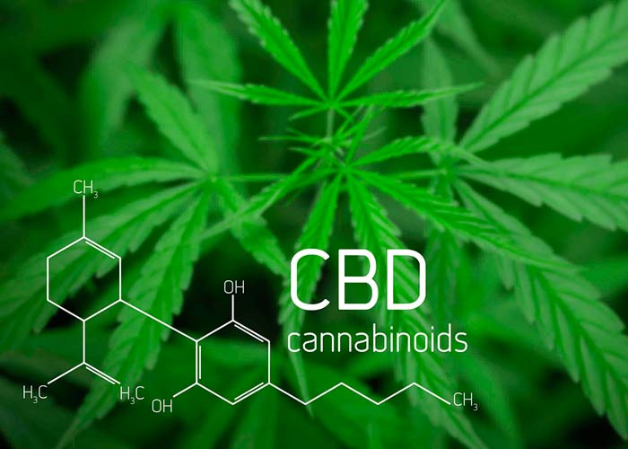 Механика воздействия КБД