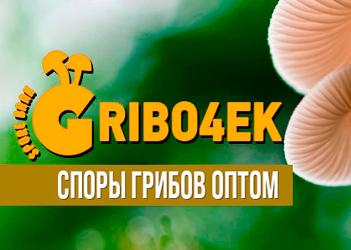 Соры грибов оптом