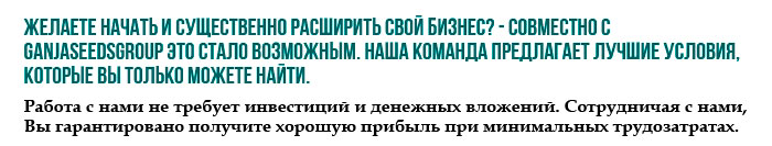 Дропшиппинг