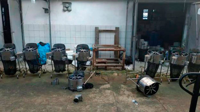 накрыли гигантскую плантацию конопли