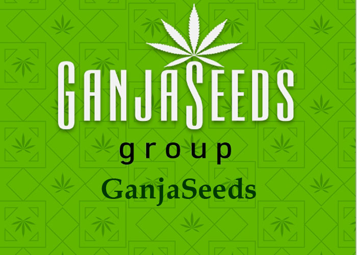 GanjaSeeds