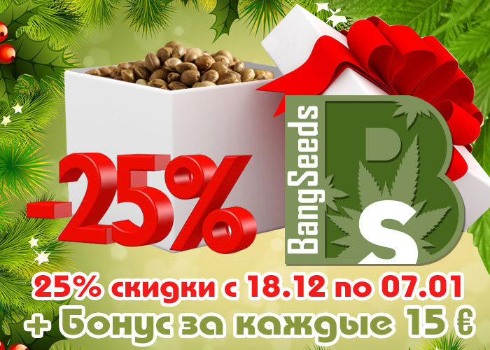 BangSeeds: скидка на семена конопли -25%