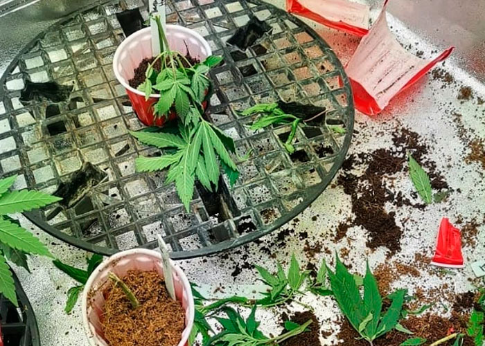 Другие фейлы тренировок