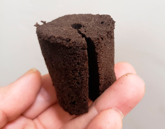 Как прорастить семена конопли методом бумажного полотенца