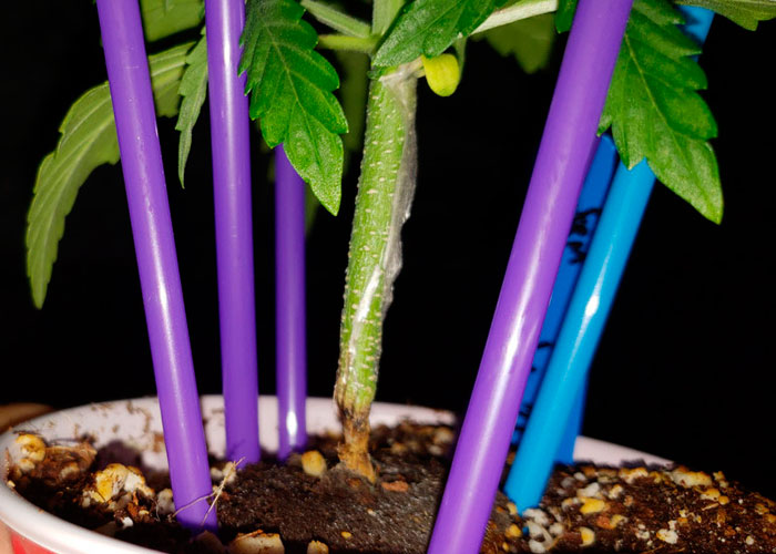 10 самых распространенных ошибок гровера-новичка