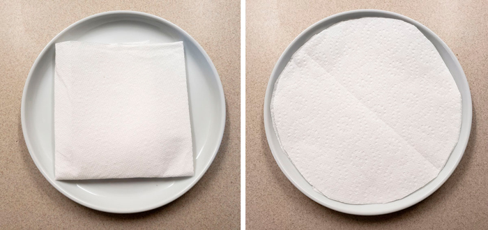 Как прорастить семена конопли методом бумажного полотенца