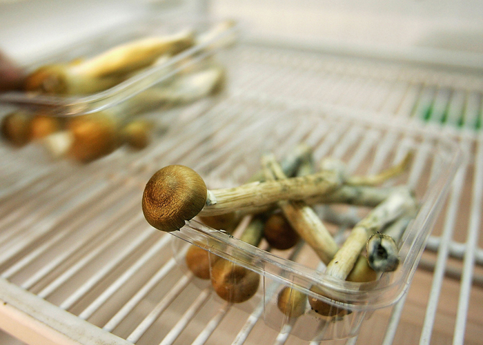 Список самых лучших вариантов вкушения