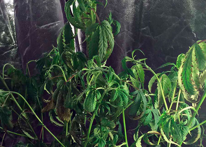 10 самых распространенных ошибок гровера-новичка