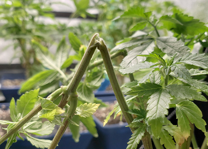 Ошибка суперкроппинга