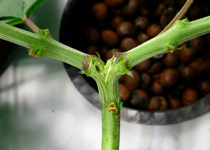 Другие фейлы тренировок