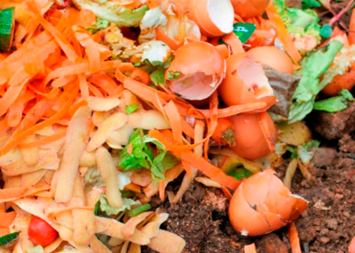 собираем компостируемое сырье