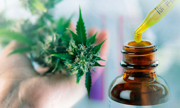 Медицинское использование КБД