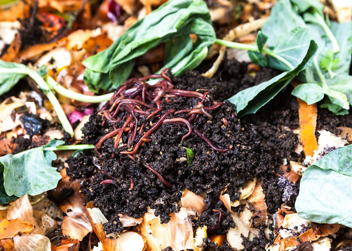 Что такое органический бокаши и почему он полезен для выращивания конопли?