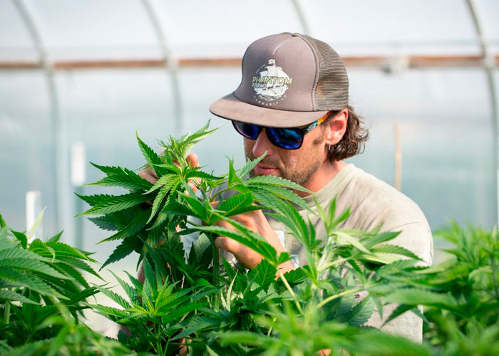 10 самых распространенных ошибок гровера-новичка