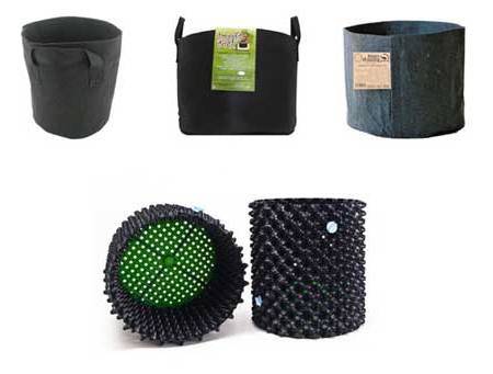 увеличить урожай конопли