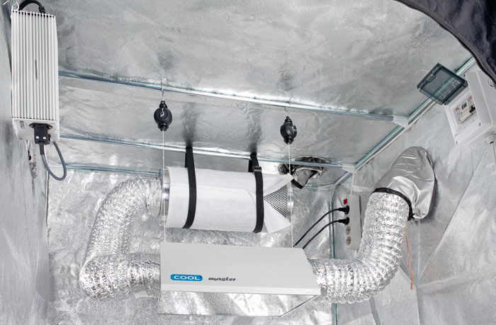 Советы опытных садоводов по индорному грову