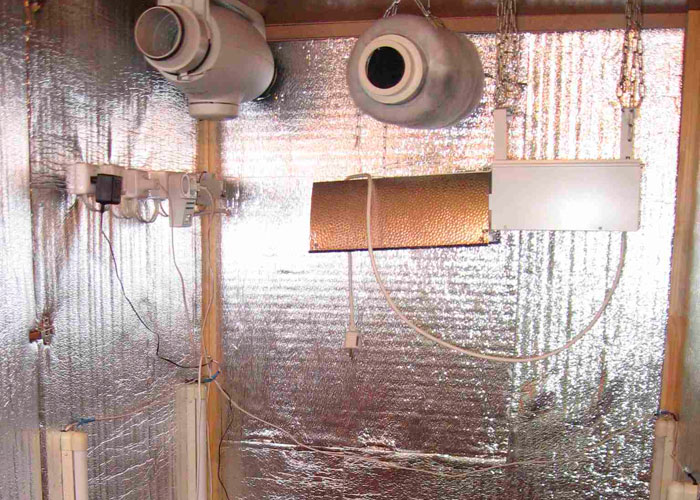 Гроубокс для выращивания конопли: панацея или простое решение?