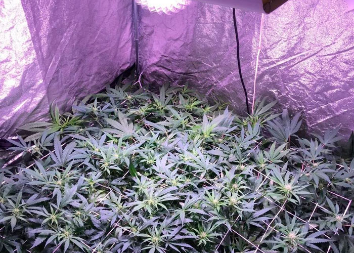 Как правильно