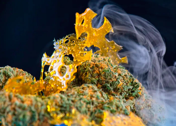 Высокопроизводительные концентраты ТГК так же безопасны, как и марихуана