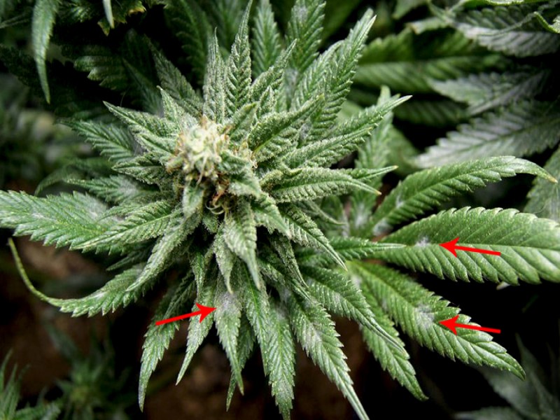 Необходимое оборудование для правильной циркуляции и обмена воздуха