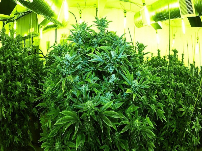 Необходимое оборудование для правильной циркуляции и обмена воздуха