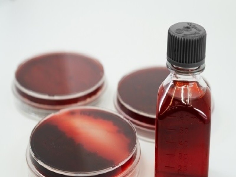 Грибы могут быть использованы для исцеления, но могут также вызывать болезни