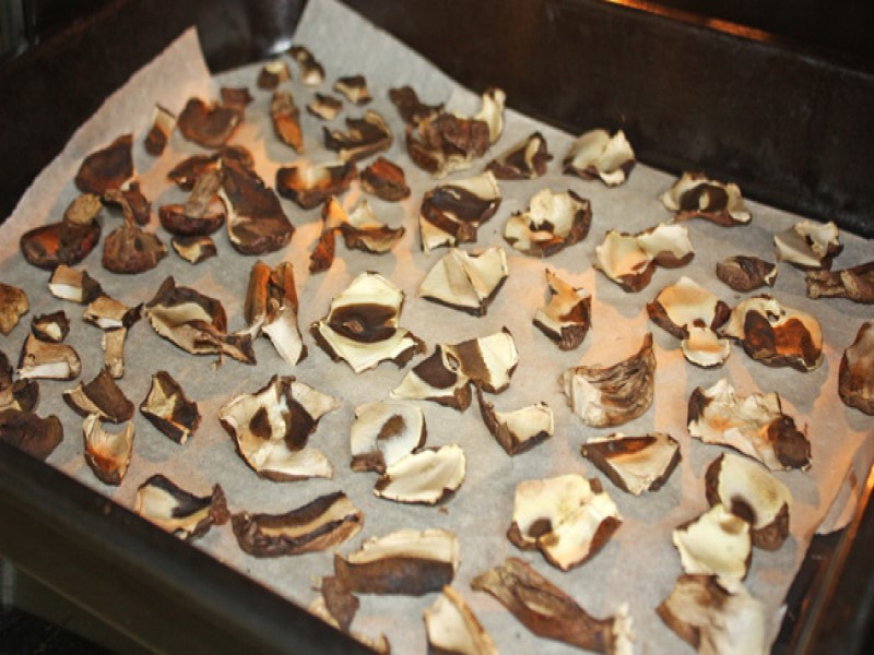 Процесс сушки