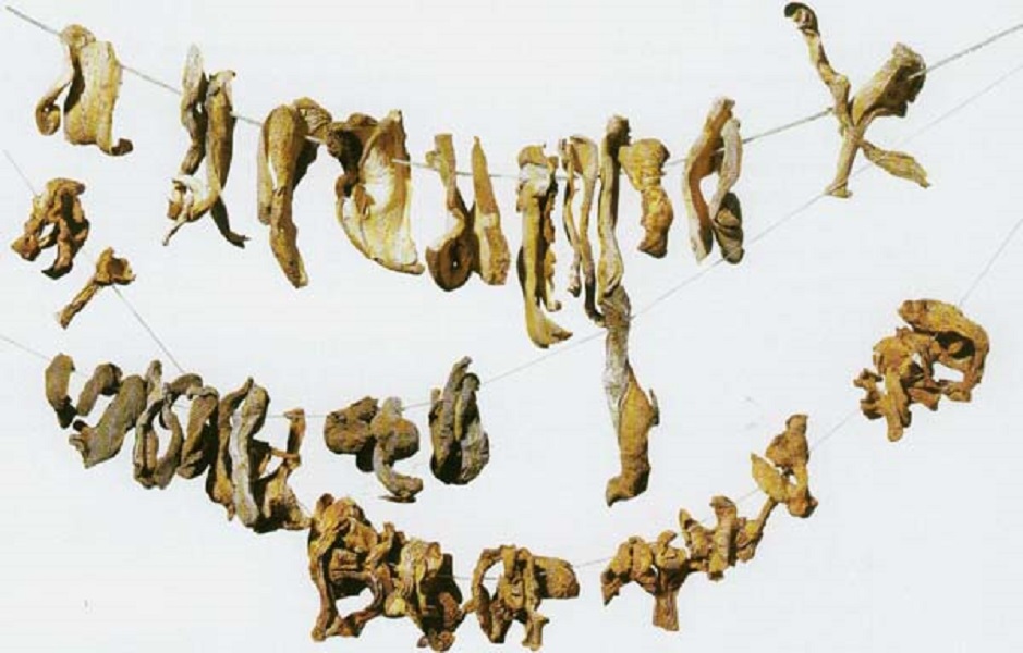 Как сушить грибы