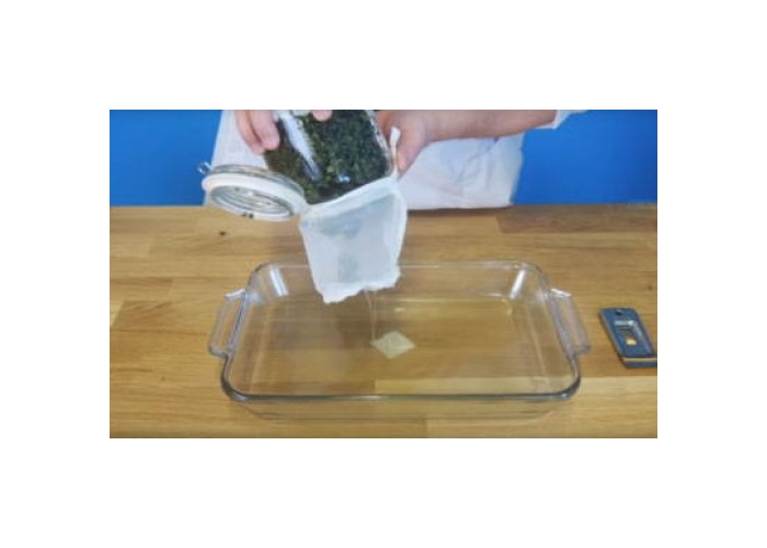 Как приготовить медовое масло каннабиса за 6 простых шагов