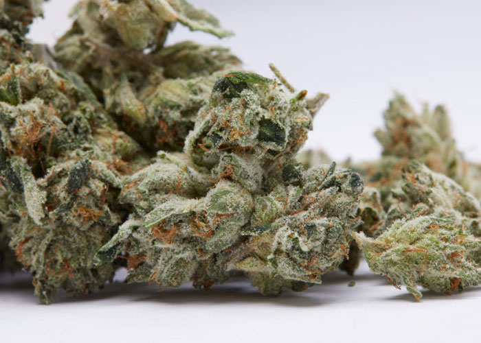 Сушка каннабиса: как сушить соцветия