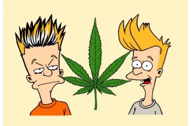 Как каннабис влияет на развитие мозга у подростков?