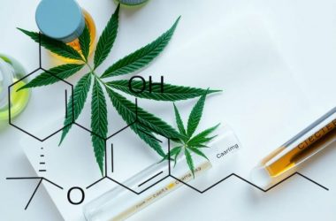 Дельта-10-ТГК: новый взгляд на мир каннабиноидов