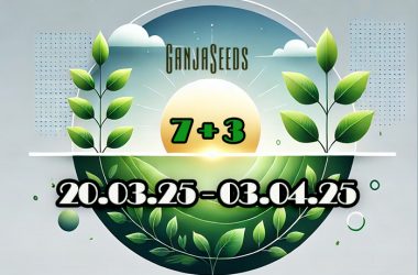 Забирай бонусы от GanjaSeeds!