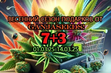 Весенний сезон подарков от GanjaSeeds!