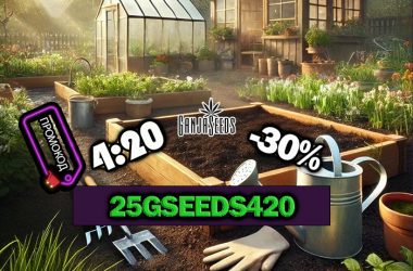 4:20 — скидка 30% на все сорта GanjaSeeds!