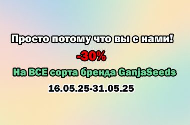 -30% на все сорта GanjaSeeds — просто потому что вы с нами!